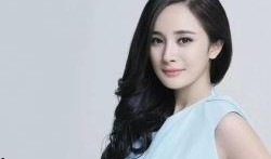 杨幂八卦最新爆料图片大全